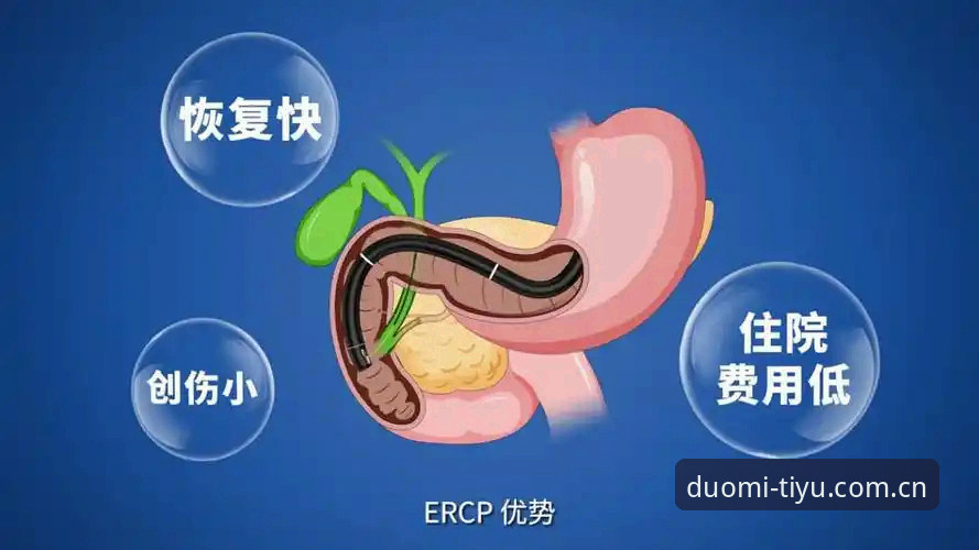多米体育官网下载怎么下载 揭秘多米体育官网下载背后的真相:你不知道的高效获取路径